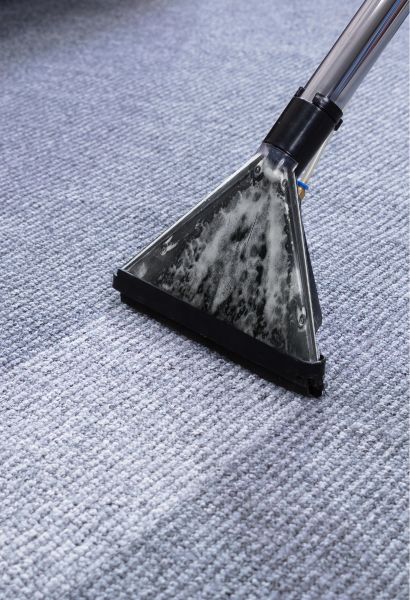 What Are The Different Cleaning Methods Used By Professional Carpet Cleaning Services?